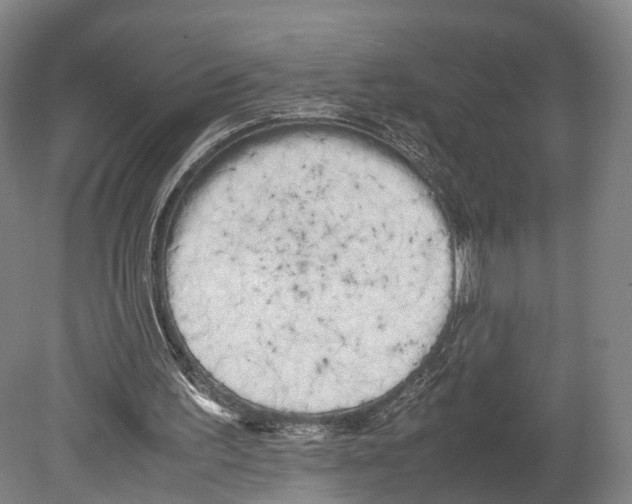 X0000080170195200701051640