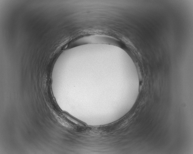 X0000080170201200701051640