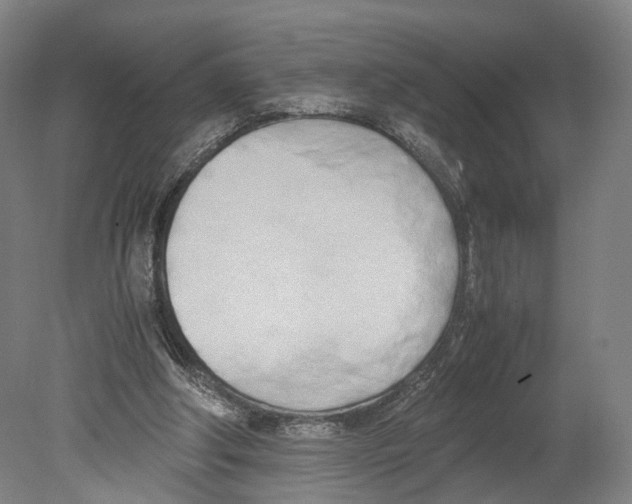 X0000080170202200701051640