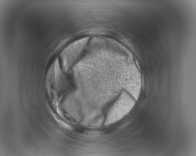 X0000080170205200701051640