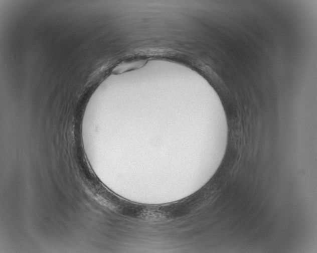 X0000080170207200701051640