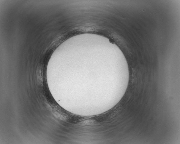 X0000080170210200701051640