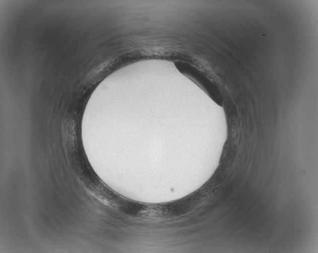 X0000080170211200701051640