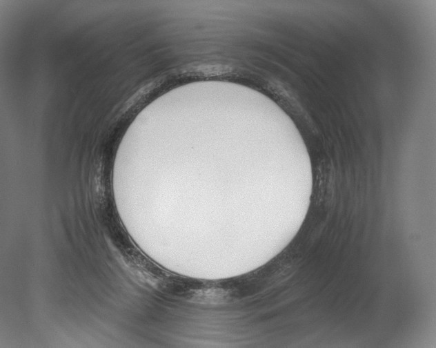 X0000080170212200701051640