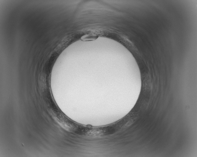 X0000080170213200701051640