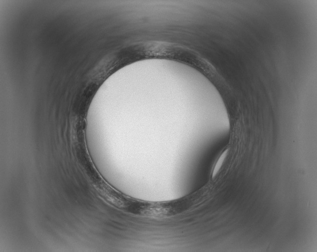 X0000080170217200701051639