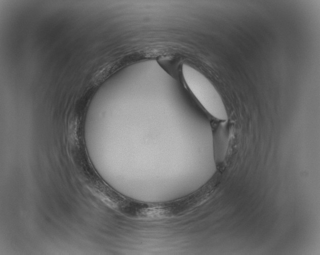 X0000080170219200701051639