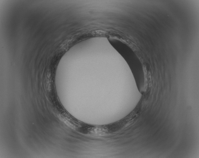 X0000080170223200701051639