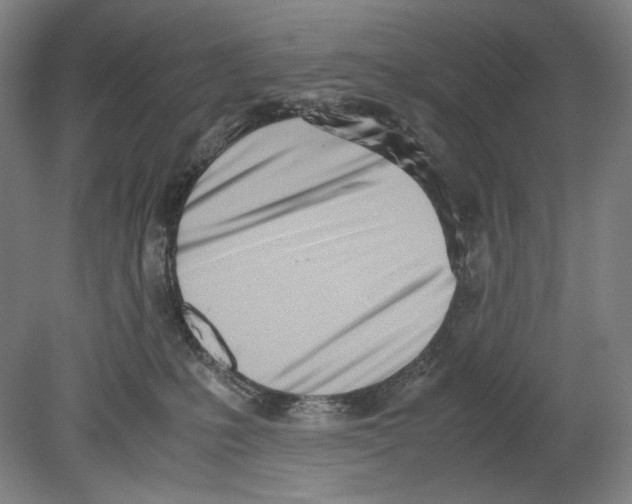 X0000080170231200701051639