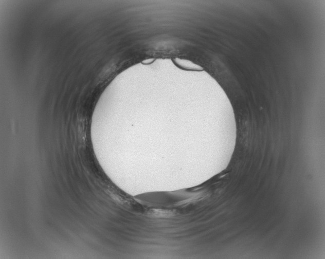 X0000080170232200701051639