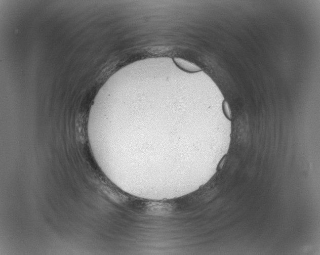 X0000080170234200701051639