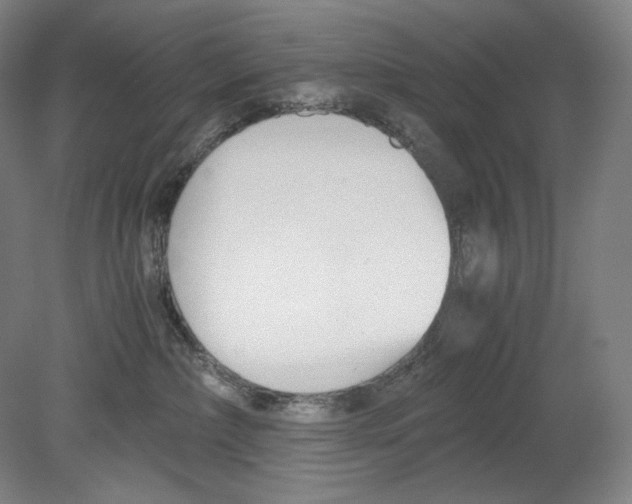 X0000080170236200701051639