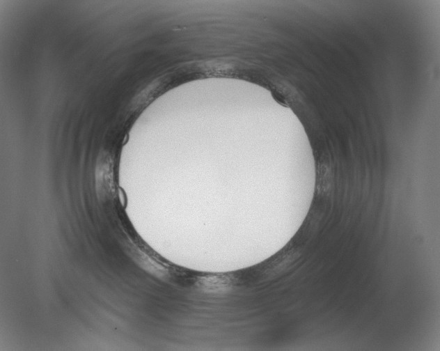 X0000080170238200701051639