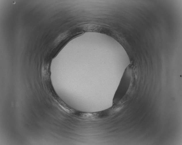 X0000080170239200701051639