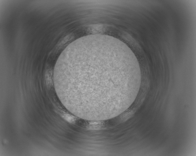 X0000080170240200701051639