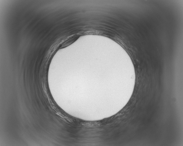 X0000080170241200701051638