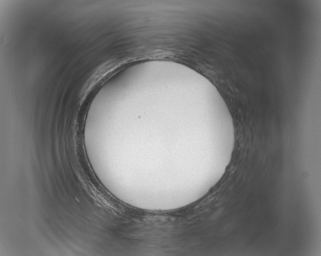 X0000080170242200701051638
