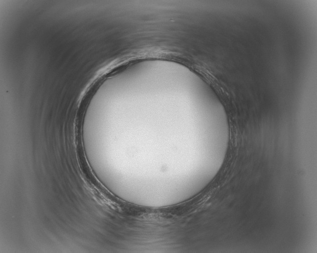 X0000080170244200701051638