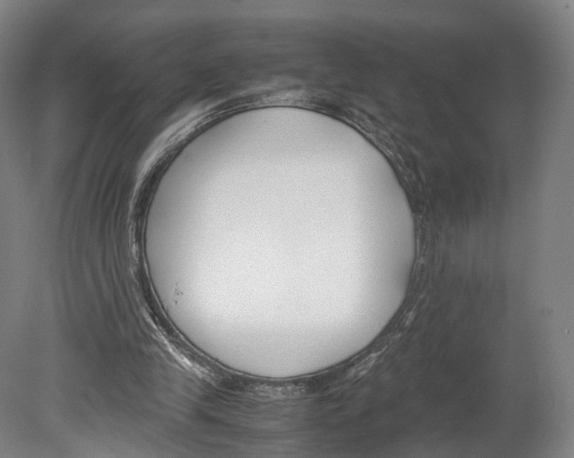 X0000080170245200701051638