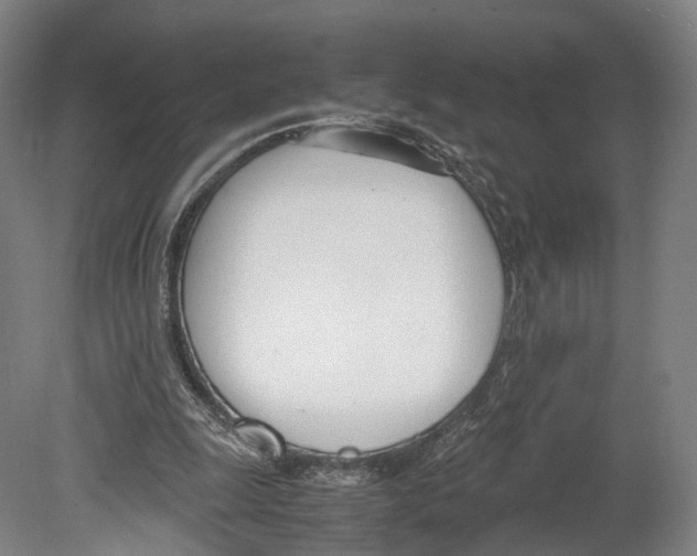X0000080170247200701051638