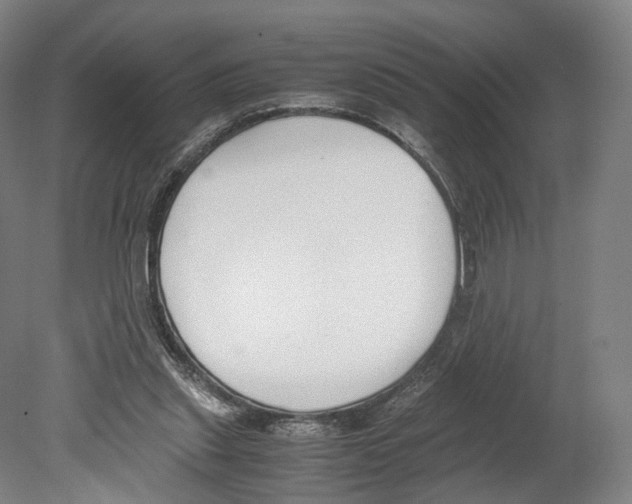 X0000080170253200701051638