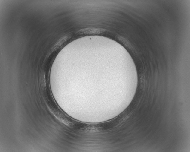 X0000080170254200701051639