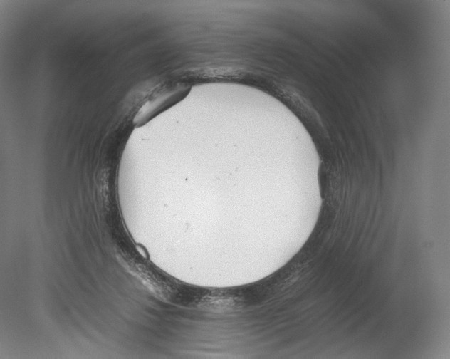X0000080170260200701051639