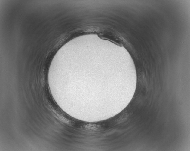 X0000080170261200701051639
