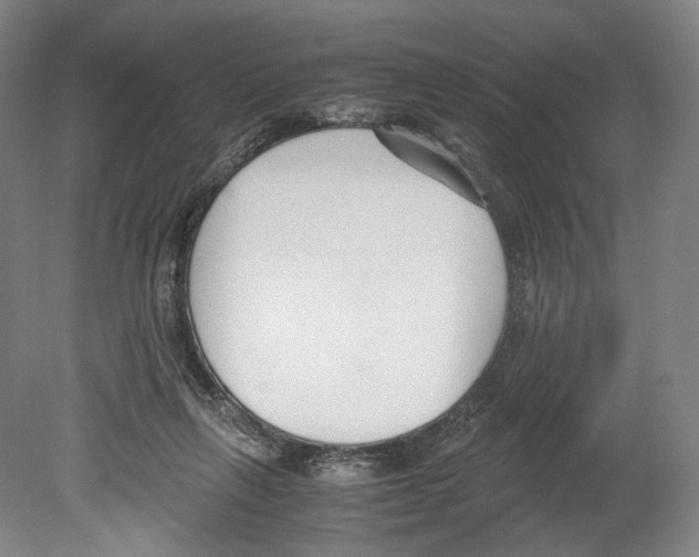 X0000080170263200701051639