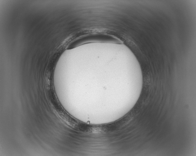 X0000080170264200701051639