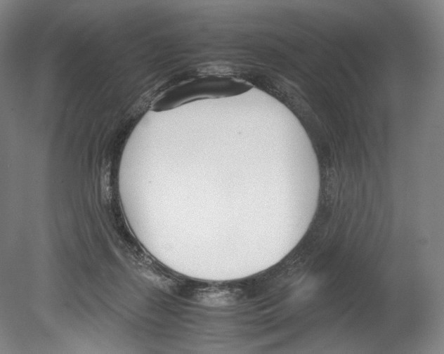 X0000080170267200701051639