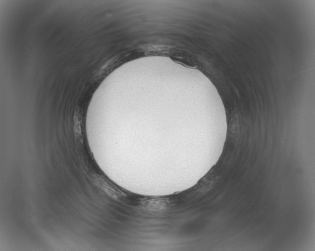 X0000080170282200701051639