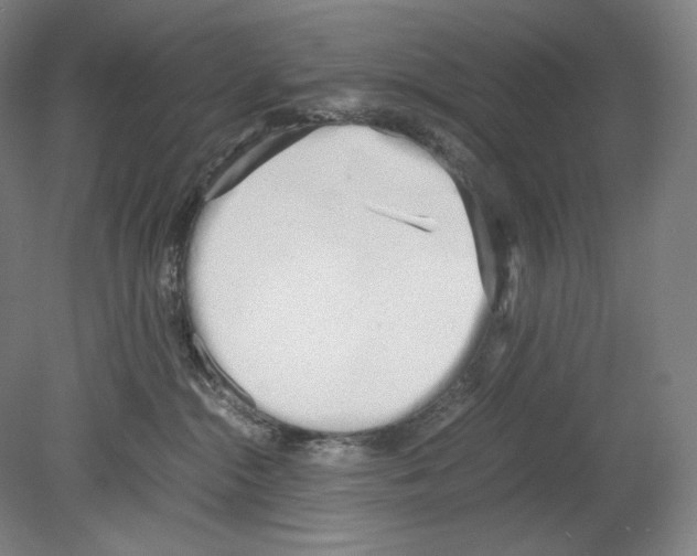 X0000080170284200701051639
