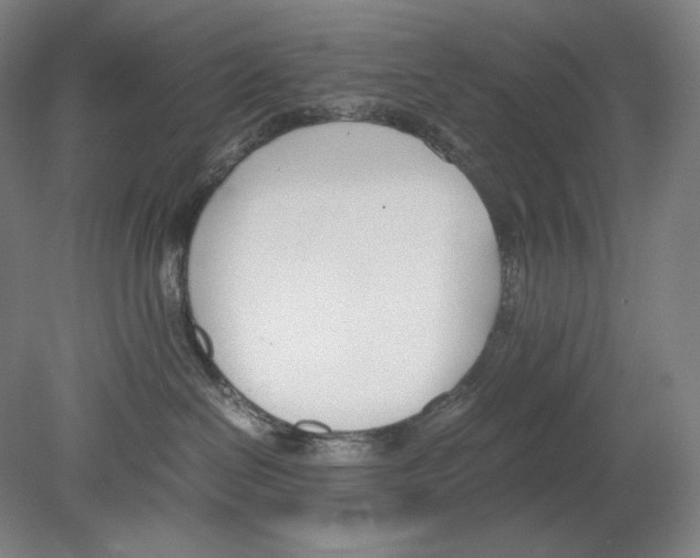 X0000080170286200701051639