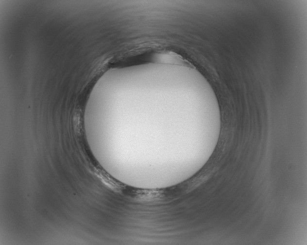 X0000080170288200701051639