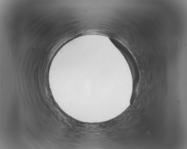 X0000080170289200701051638
