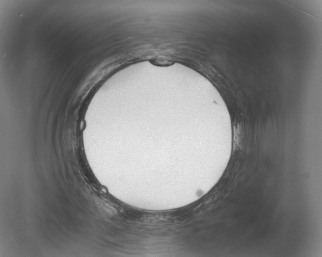 X0000080170291200701051638
