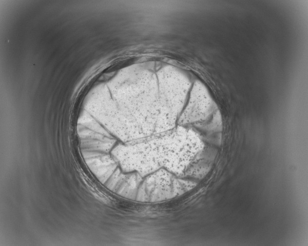 X0000080170293200701051638