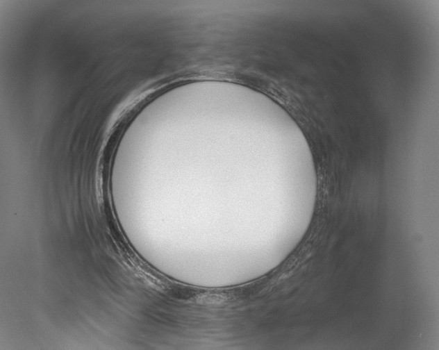X0000080170294200701051638