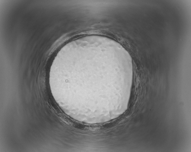 X0000080170295200701051638