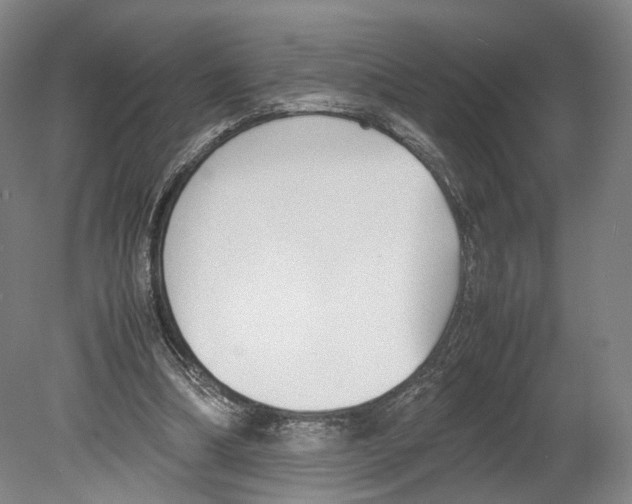 X0000080170298200701051638