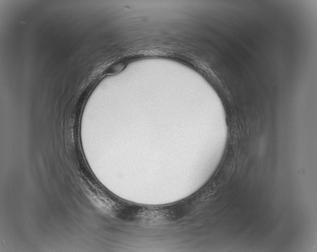 X0000080170299200701051638