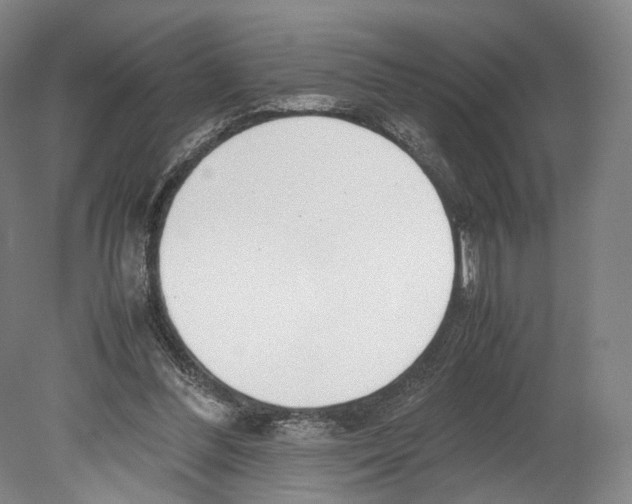 X0000080170300200701051638