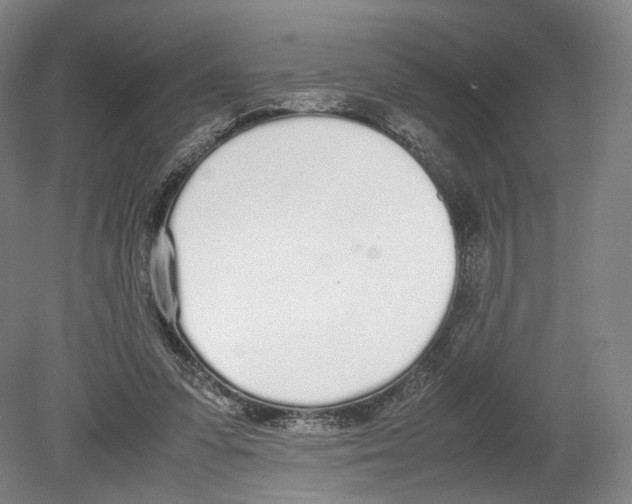 X0000080170303200701051638