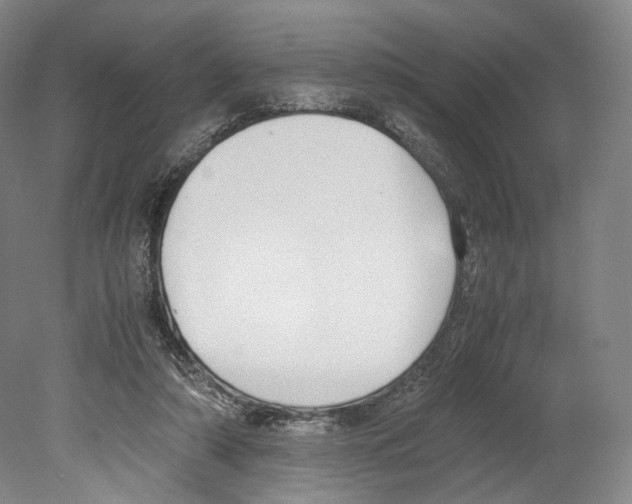 X0000080170306200701051638