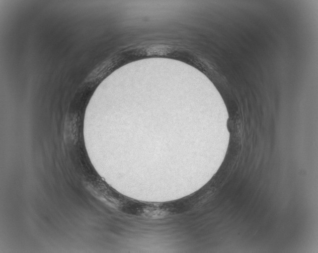 X0000080170311200701051638