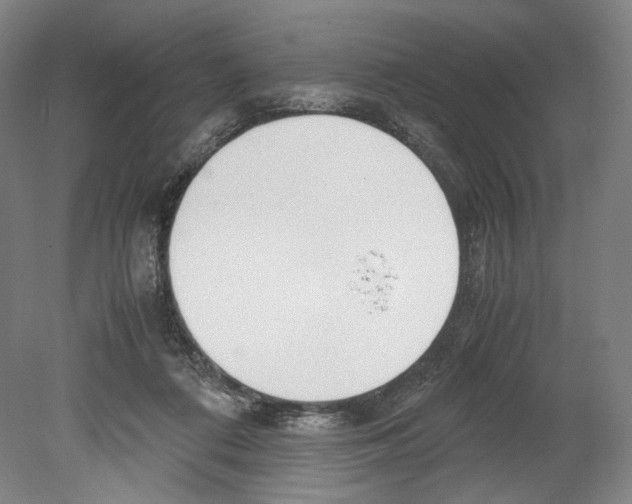 X0000080170312200701051638