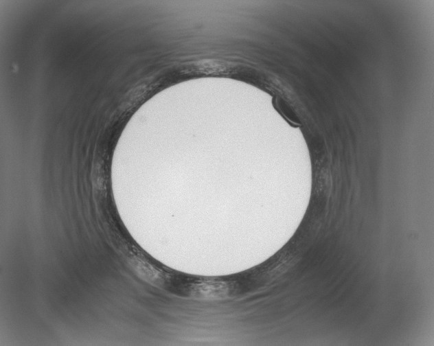X0000080170317200701051638