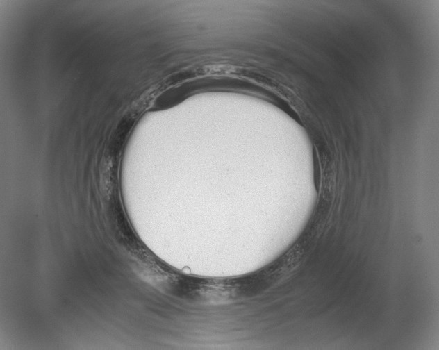 X0000080170319200701051638