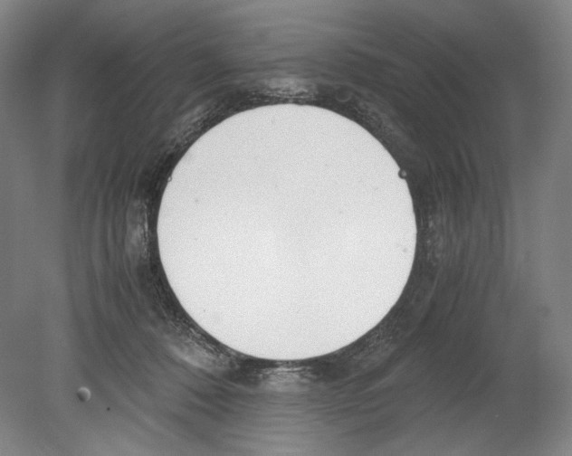 X0000080170320200701051638